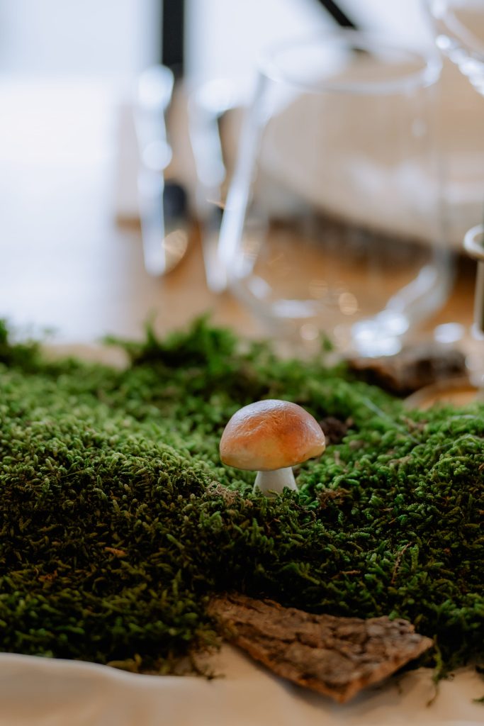 Ciupercuță pe mușchi natural, detaliu de decor pe masa de nuntă, Iași